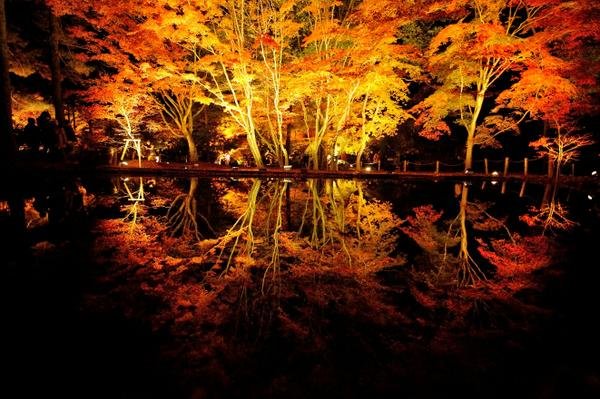 🍁 소기 공원(소기 코엔) 이미지 4